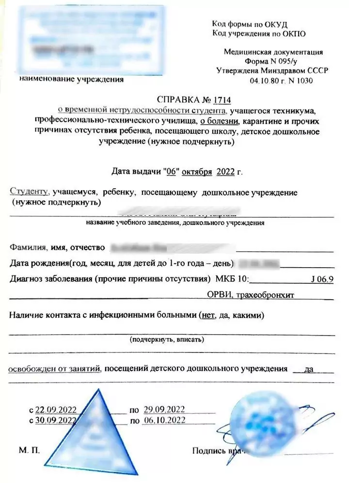 Купить справку 095у для учащихся